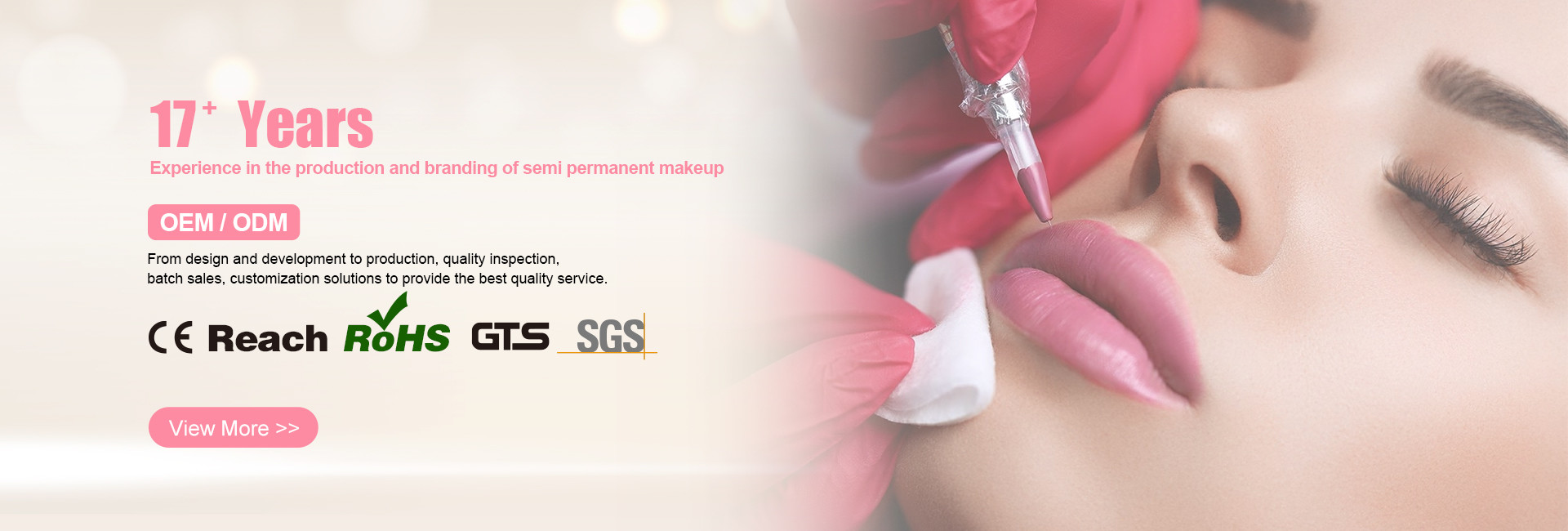 Qualité Kit permanent de tatouage de maquillage usine