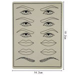 Les lèvres 3D en caoutchouc de maquillage permanent de l'UGP pratiquent le tatouage Mat To Practice Perfect Eyebrow de peau