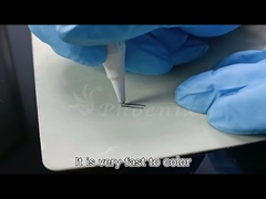 Machine de maquillage permanent à double aiguilles