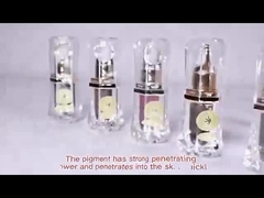 Colorant permanent de tatouage de maquillage